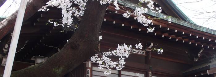 SakuragiShrine